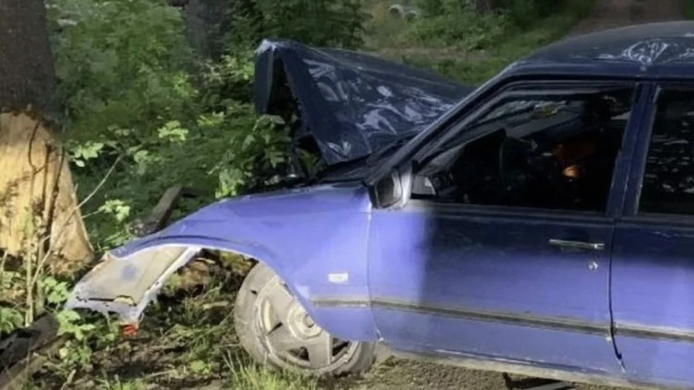 Den 27-årige mannen körde av vägen. (Bilden är hämtad ur förundersökningen.)