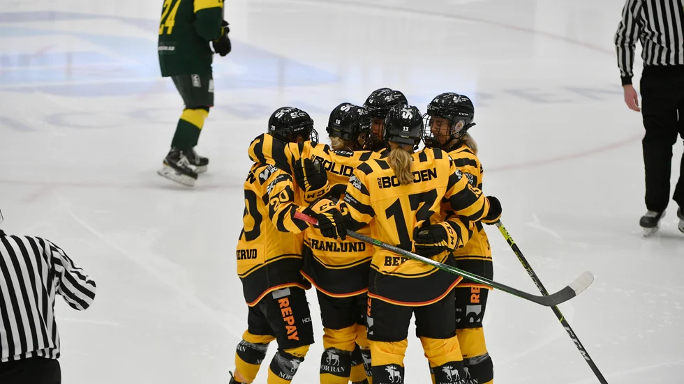 Segertåget fortsätter för AIK, som nu har vunnit båda matcherna mot Bjökrlöven i damallsvenskan.