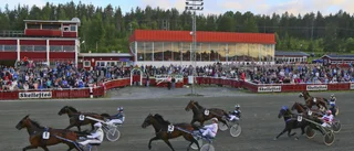 Favoritseger på Skelleftetravet