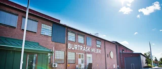 Norrmejerier dömda för miljöbrott