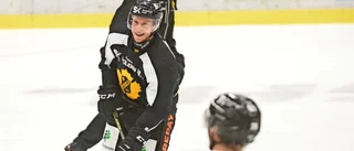 Vilket SHL-lag toppar löneligan och vem får flest poäng för pengarna?