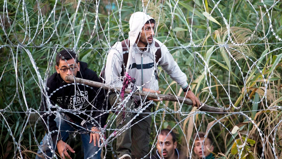 Stängt. Syriska flyktingar som är på väg att forcera gränsen in till Europa via Ungern. Foto: Darko Bandic/TT Foto: Darko Bandic.