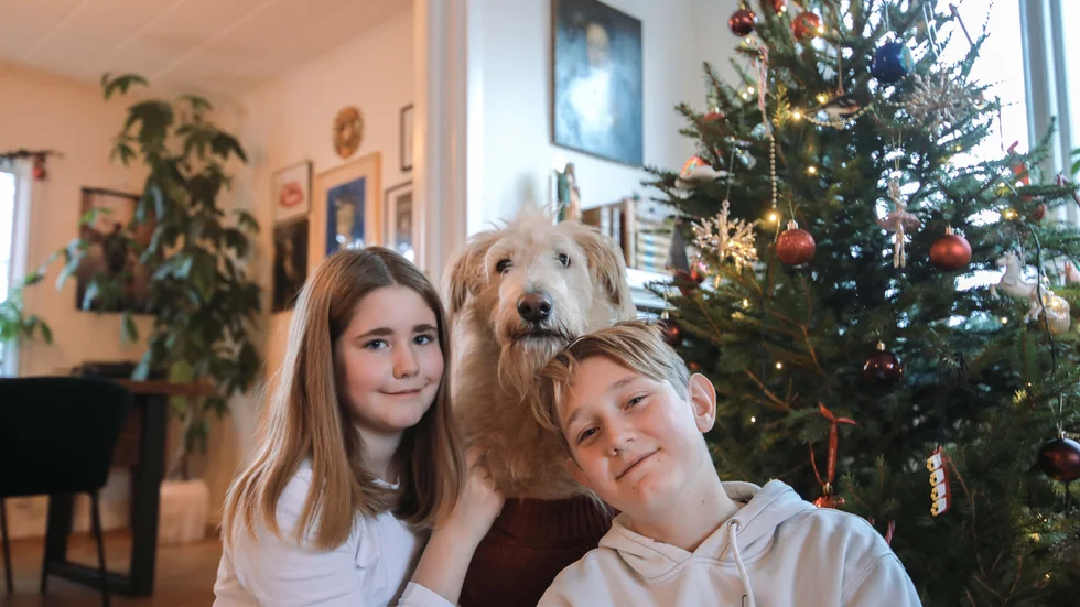 Nalle Puh, den tvååriga blandrasen är vinnare av Årets charmigaste juledjur 2021. Det är tack vare lillmatte Agnes och lillhusse Nils som Nalle nu får en fin julklapp.