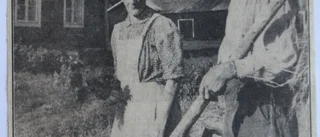 Okänd - HJALMAR WESTERLUND?, okänt årtal