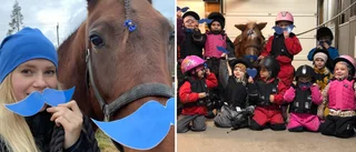 Travskolans bedrift – samlade in fjärde största summan i Sverige: ”Något vi med stolthet kunde gå in i helhjärtat”