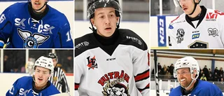 Fem spelare som öser in poäng – topp tio i hela Sverige • Men målkungen missar heta derbyt: ”Åkt på hårda smällar”