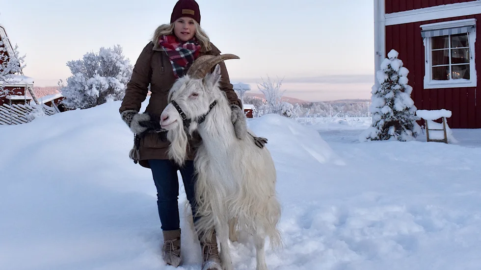 Marie Nilsson har fotograferat julkort sedan 18 år tillbaka. Barnen och djuren ställer gärna upp varje år. På gården har hon hästar, getter, får, höns, hundar och katter. Kanske kan det bli en fjällko eller två framöver också.