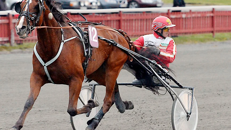 Dusty Wind, körd av Jan Norberg, gav sju gånger pengarna när han avrundade V64-omgången i Boden. Arkivbild: Ulf Johansson