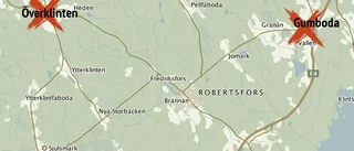 Flera viltolyckor i länet
