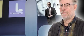 L som i lämpliga liberala lösningar