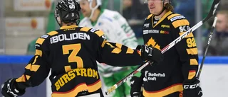 Marklund: ”Alla chanser att AIK blir ett ljus i vintermörkret”
