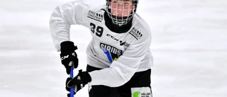 UNT direktsänder Sirius SM-finaljakt i bandy – "Det blir mer "köra" och ett svängigare spel"