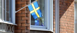Drygt 20 brottsoffer – då slog kvinnan till igen: ”Fick varken hyra lägenheten eller tillbaka pengarna”