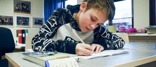 Ryktena om skolan fick Wille att tröttna: "Det är helt fel att det skulle vara otryggt"