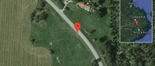 Fallna träd skapar problem i trafiken på väg 255