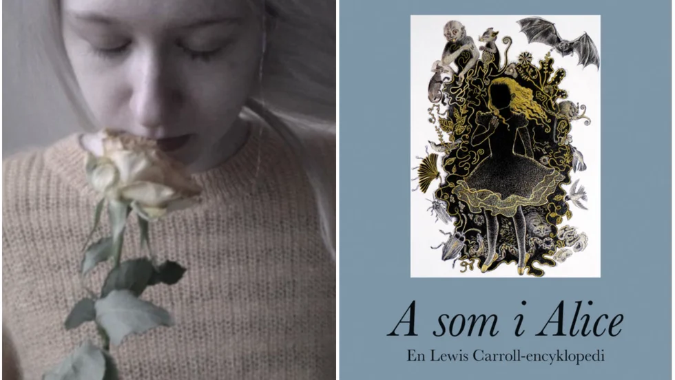 Isabella Nilsson har skrivit den här underhållande boken tillsammans med Jonas Ellerström.