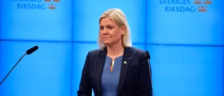 Det kaotiska året då allt gick i lås för S