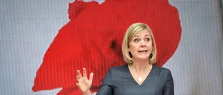 En praktisk finansminister