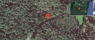 Fallna träd skapar problem i trafiken