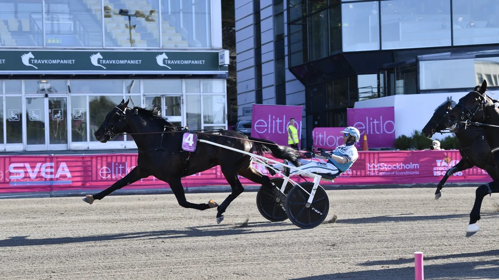 Don Fanucci Zet och Örjan Kihlström vinner Elitloppet 2021. Arkivbild.