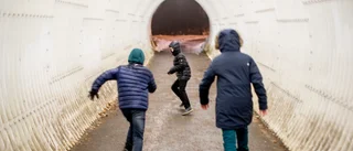 Partierna inte i fas med ungdomarna