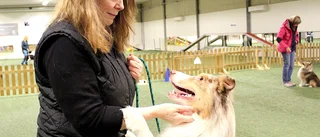 Hundklubben där alla är välkomna 