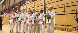 Norrköpings Judoklubb fyra totalt i Stockholm