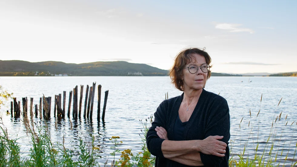 "Inte bara naturen utan även personerna stiger fram och blir särdeles tydliga av författarens lätta penseldrag", skriver NSD:s recensent om Tove Alsterdals "Slukhål".