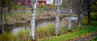 Riv inte vattenkraftverken i Vingåkersån