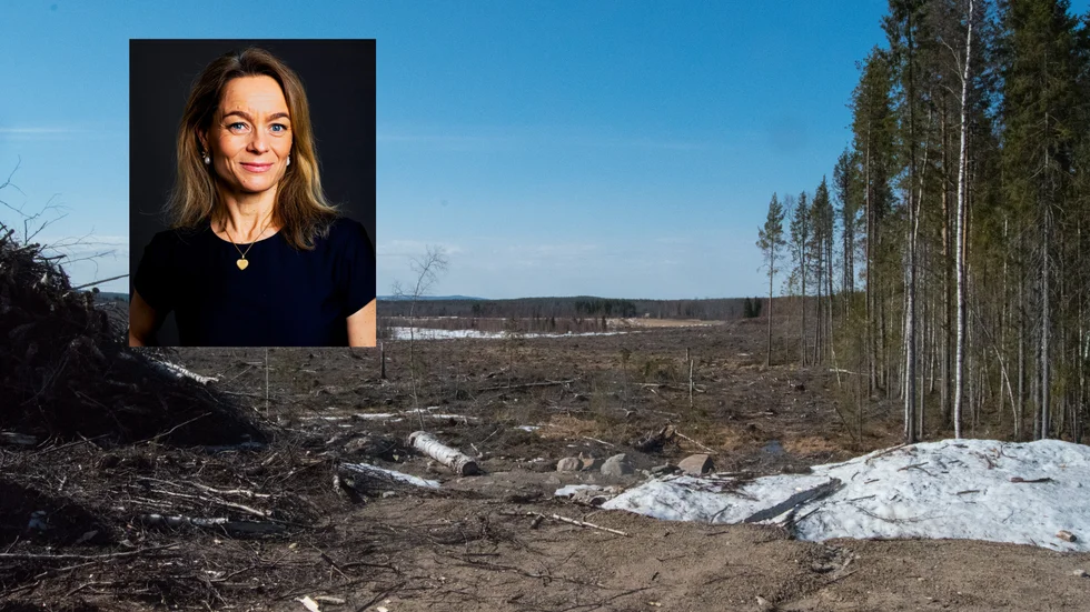 Enligt Jenny Molvin, kommunikationschef vid H2 Green Steel, kommer den nya grönt stål-fabriken släppa ut miniminalt med koldioxid.