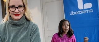 En varg är alltid en varg – även om den kallas gråben