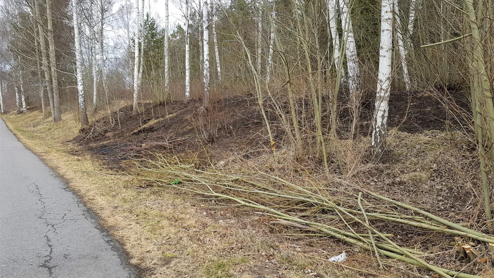 Branden anlades på bullervallen intill ett villaområde. Enligt räddningstjänsten fanns det vid tillfället inte någon spridningsrisk till närliggande byggnader.
