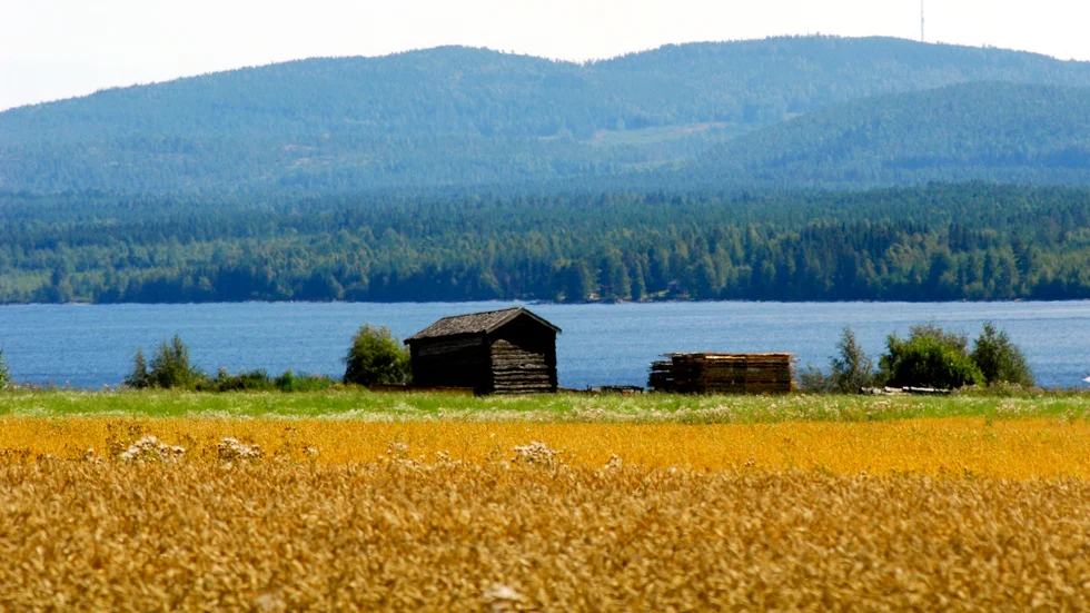 Mer eller mindre storstadsfixerade partier har börjat tänka om. Från att jaga storstadsväljare till att jaga småstads-, landsbygds- och glesbygdsväljare.