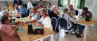 Traditionsenlig surströmmingsskiva