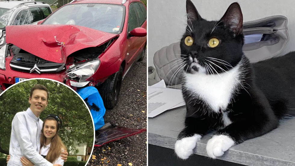 Katten Chanel är infångad och paret Karl Gustafsson och Elin Doverteg Sörlie jublar. 