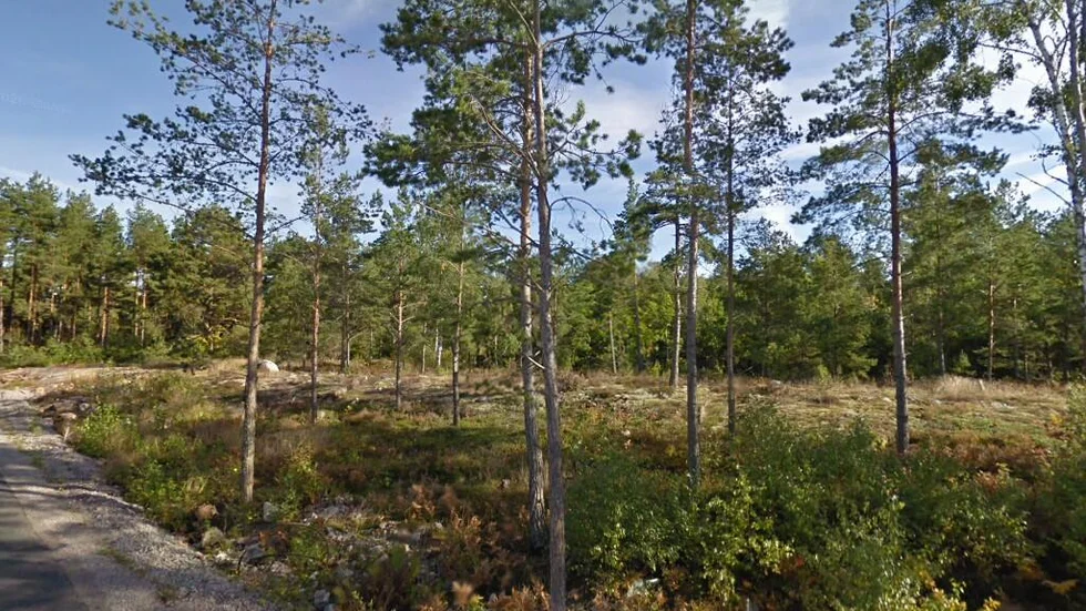 Körsbärsstigen 10