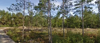 Nya ägare till tomt i Piperskärr, Västervik - priset: 527 000 kronor