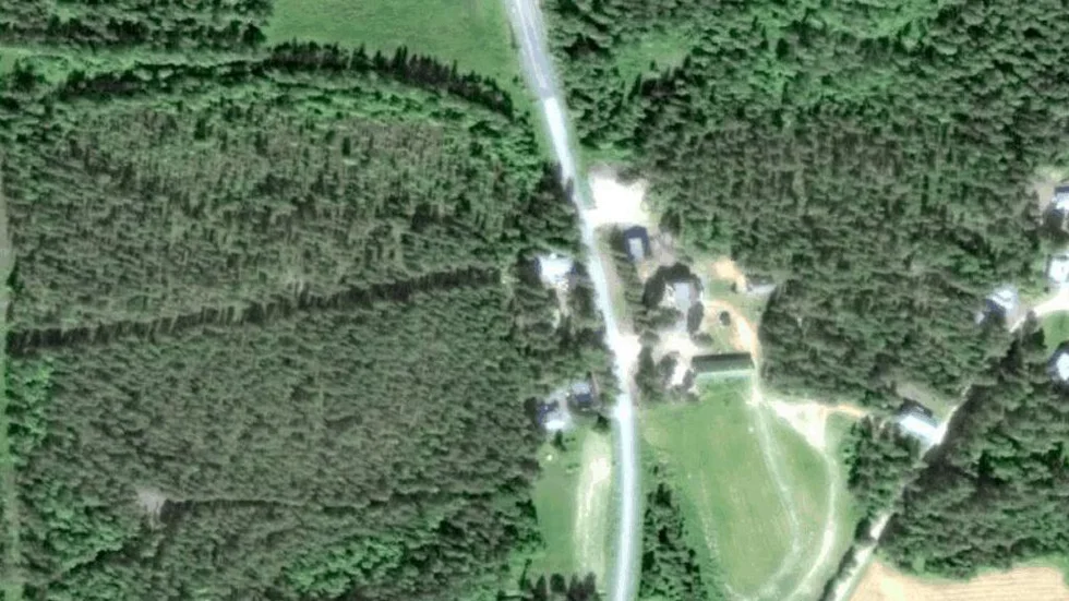 Området kring Ängesträsk 445