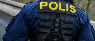 Misstänkt mördad 18-åring hittad