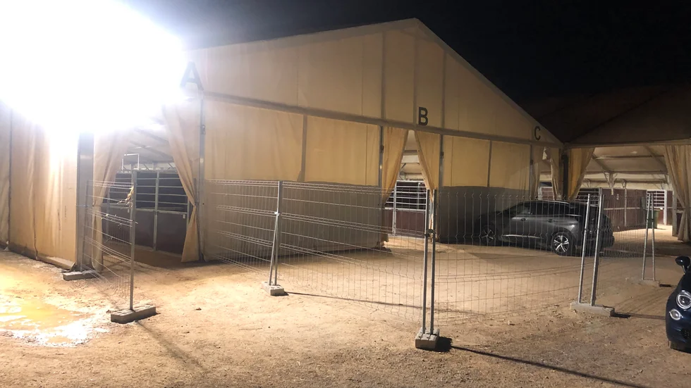 De var i de här stallarna som abortviruset spreds så snabbt i Valencia.