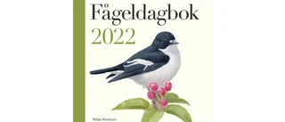 Fågeldagbok 2022