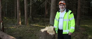 Markägare besviken på vandaler som huggit ner träd och eldat i skogen: "Irriterar mig"