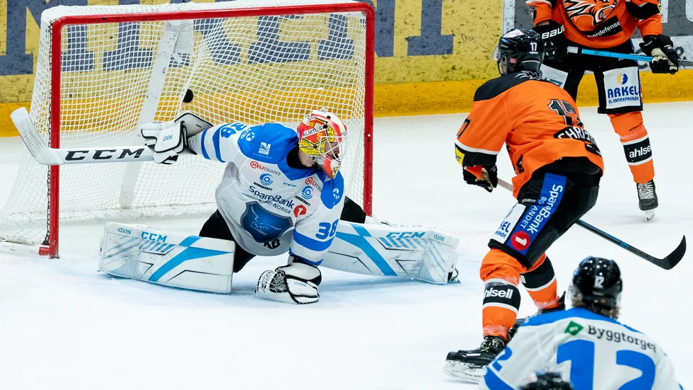 Narvik Hockey kan komma att ansöka om att få spela i det svenska seriesystemet.