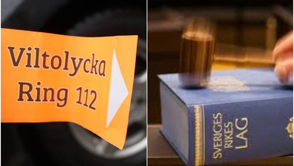 Den hemtjänstanställde körde på en hjort, men larmade inte polisen om olyckan. Nu döms hen till dagsböter för förseelse mot jaktlagen.