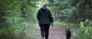 Kvinna attackerad i skogsområde – oro sprids: "Det är förjävligt"