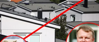 Elpriset rusar – kostnaden kan öka med en tusenlapp i månaden: "Vi touchar det högsta priset i tiderna i Sverige"