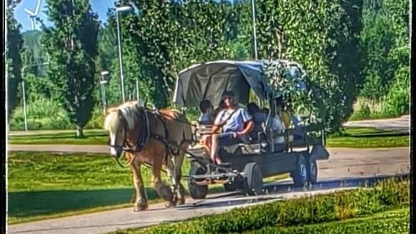 Rickard Eriksson, som delvis försörjer sig på jordbruk med hjälp av gamla metoder och redskap, har utsetts till årets mottagare av Kultur- och fritidspriset i Älvkarleby kommun.
