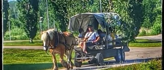 Jordbruk på gammaldags sätt får kulturpris