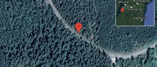 Fallna träd skapar problem i trafiken