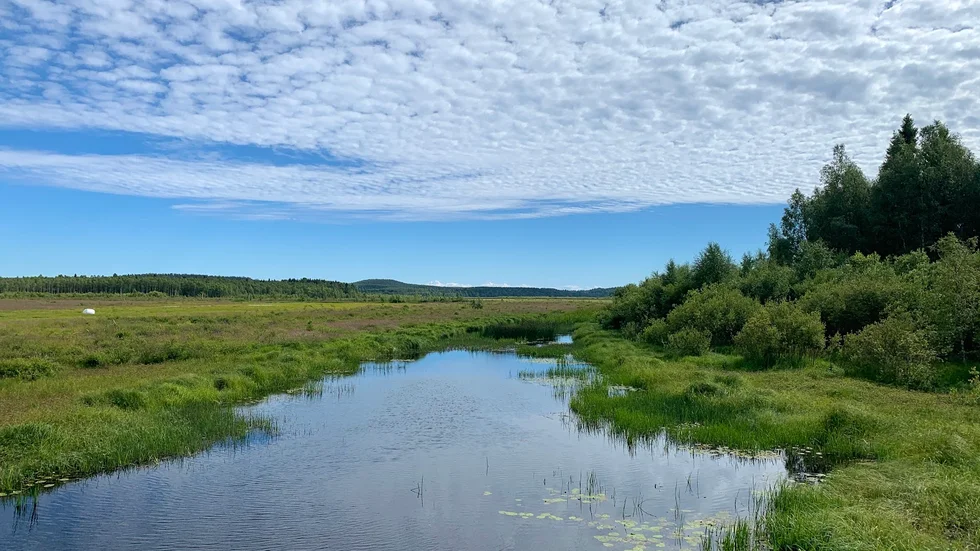 Gärdefjärden är en av de naturreservat som ska rustas upp.